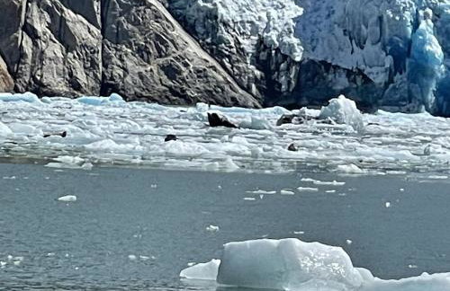 Accessible, Comfort, Convenient Location 106 - Foto 15