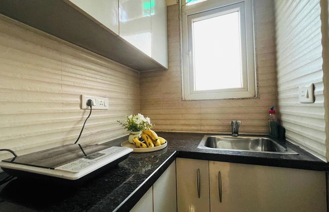 Olive Service Apartment-Golf Course Road - Photo 7