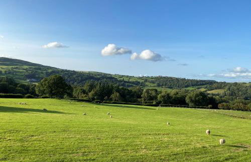 The Old Barn - Photo 16