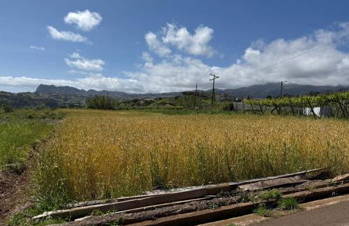 Casa do Farol Guest House - Foto 29