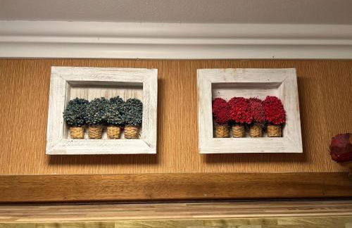 MRG - Lindo 1D - Próximo ao Centro de Gramado - Foto 10