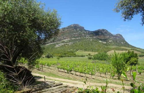 Jardin et 2 chambres centre St Florent - Foto 19