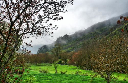 Chalet Coquelicot (Co-cli-co) relax in nature - Photo 50