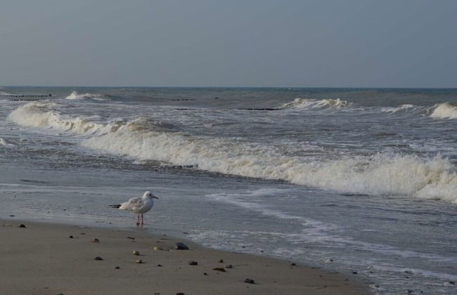 Holiday Apartment Windrose - Photo 15