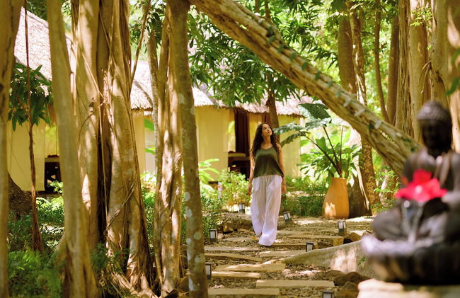 Home The Residence - Photo 49