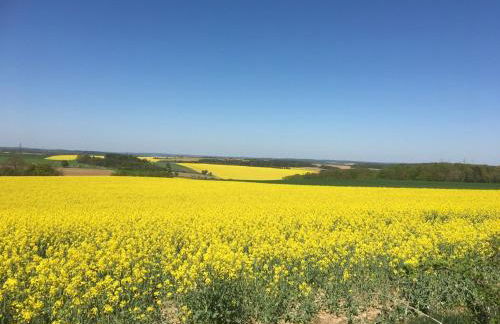 Beim Schloß Michel - Foto 18