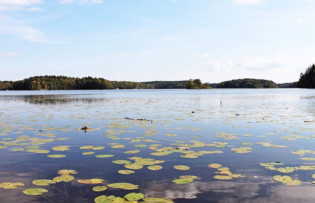 4 Person Holiday Home in Stjarnhov - Foto 10