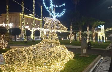 Spring House - Foto 24