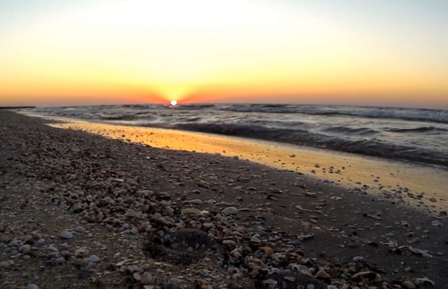 Onix Mamaia - Foto 29