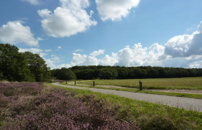 Tranquil Stay in Drenthe - Photo 36