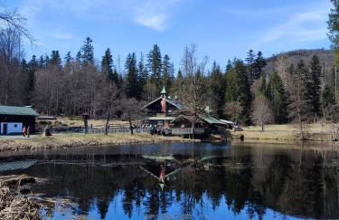 Ferienwohnung 37 Sonnenwald - Foto 47