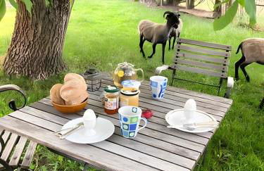 Suiten - Schlamau19 - Foto 7