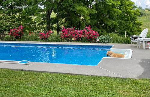 Shenandoah Holiday Chalet Fireplaces & Game Barn - Foto 62