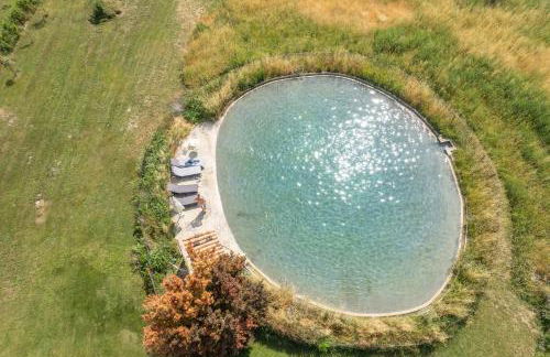 La palasse - Foto 17