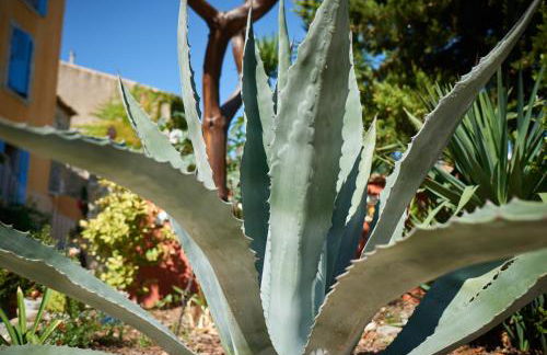 Jardin de Palme - Foto 67