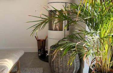 Brand New Listing - The Honey Pot in Stanton - Photo 17