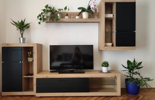 Apartment Blašković - Foto 19