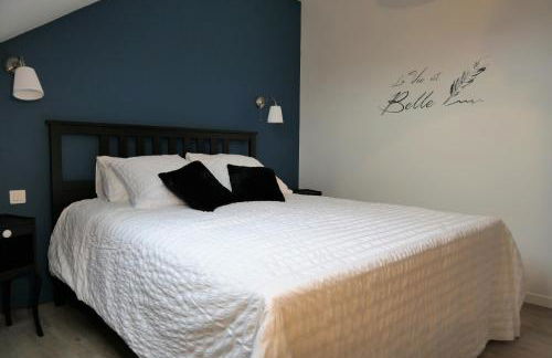 La maison Virginie appartements de 1 à 5 pers cosy central parking gratuit linge fibre proximité port lac canal piscine - Photo 42