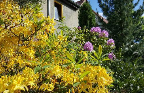 Ferienhaus Am Kirchberg - Foto 41