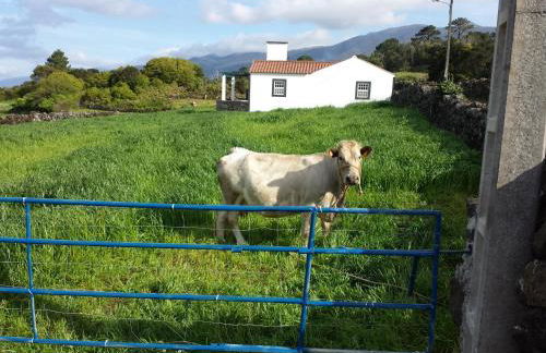 Casa do Paim - Photo 10