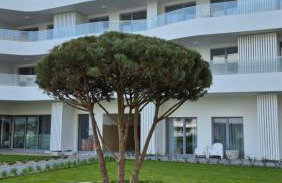 Perłowa Oaza Apartament Rogowo Pearl - Foto 17