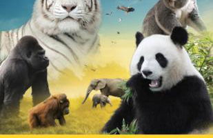 La maison des caves - Foto 19