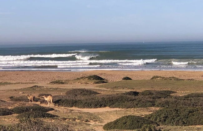 L'abri De La Plage - The Pool House - Foto 41