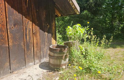 Dom z linią brzegową Narwi - Photo 25