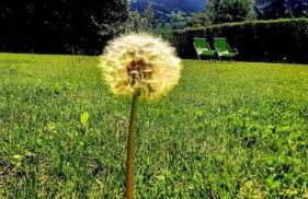 La terrazza sul Vallecetta - Foto 56