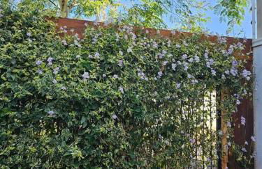 Casa Ideal e Confortável - Foto 32