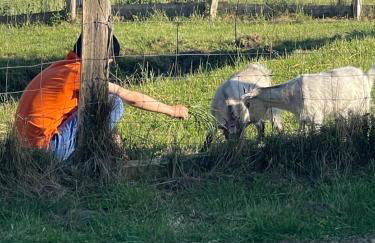 Naturnahes, neu möbl.Apartment, hundefreundlich - Foto 9