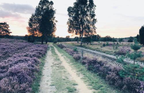 Haus Petersen - Foto 28