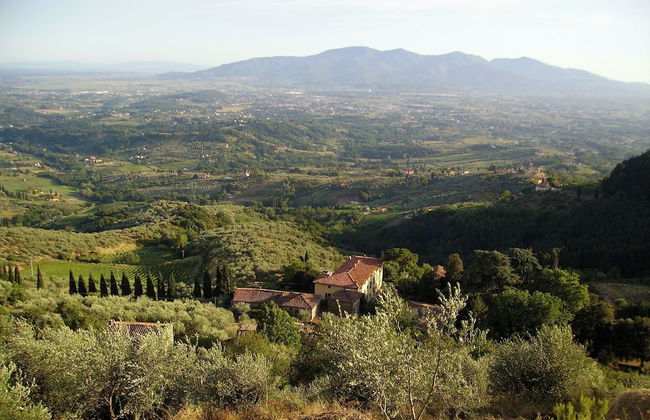 Fattoria Gambaro di Petrognano - Foto 79