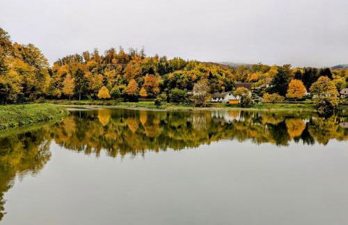 Talidyll am Diemelsee an der Talsperre - 4 Betten 1 Schlafsofa bis zu 5 Gästen - nähe Willingen - Skigebiet - Marsberg - Brilon - Privater Eingang - Auch für Monteure geeignet - Foto 47