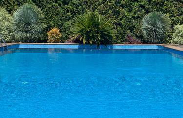 Quinta de Santa Ana, em Vizela - Foto 60