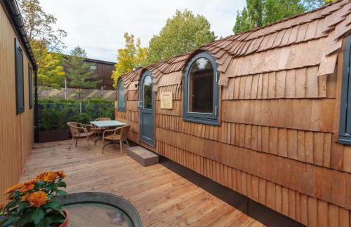 Tortuga - einfach anders! - Foto 19