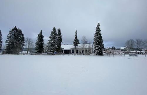 Waldhaus Kustelberg - Foto 17