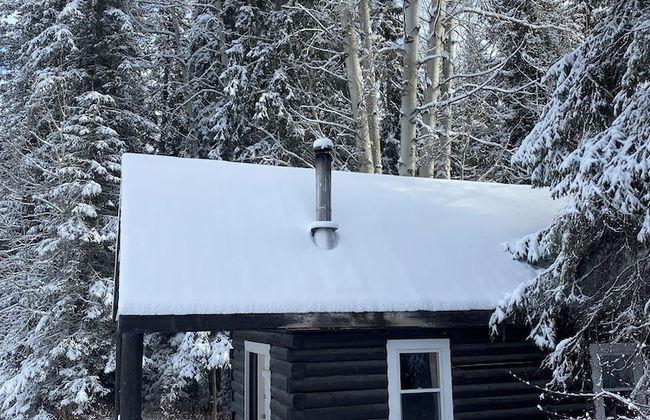 Rustic Beaverfoot Lodge Basic Cabin - Photo 34