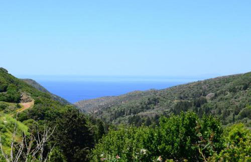 Island residence - Foto 42