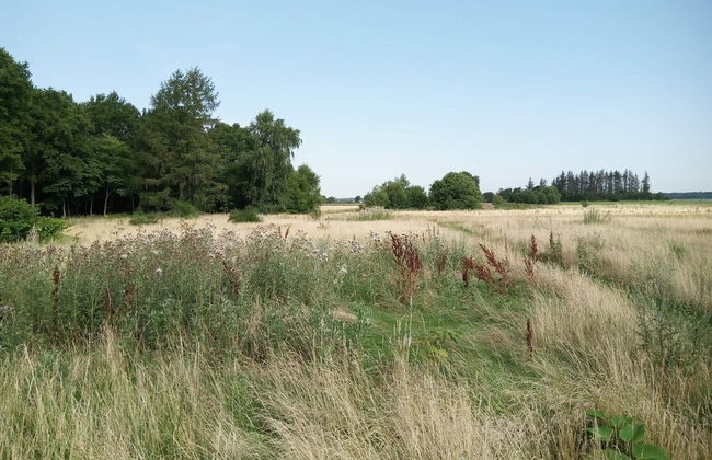 Cozy Holiday Home in Storvorde near Sea - Foto 8