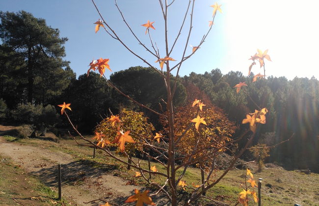 Casa Rural Las Gesillas - Foto 26