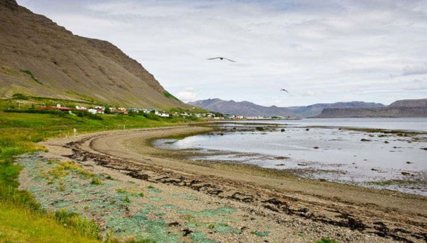 Dynjandi, Arnarfjördur & Bíldudalur Day Trip - Foto 4
