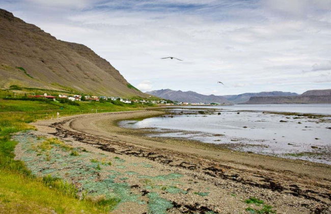 Dynjandi, Arnarfjördur & Bíldudalur Day Trip - Photo 4