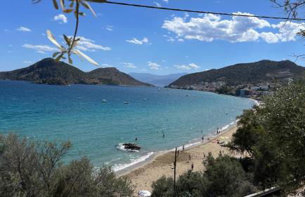 ZenSo Studios - Foto 33