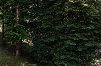 Agroturystyka Akacjowe Zacisze - Foto 76