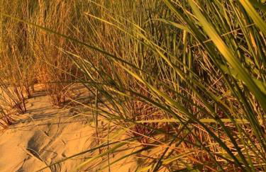 Ostsee - Appartement Nr 81 "Auszeit" im Strand Resort - Foto 26