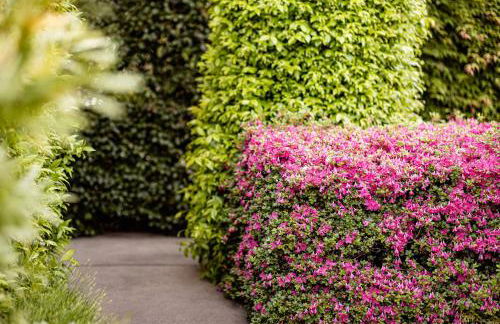 Garden Residence - Photo 40