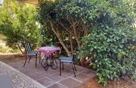 Boat dreams , garden relax - Foto 6