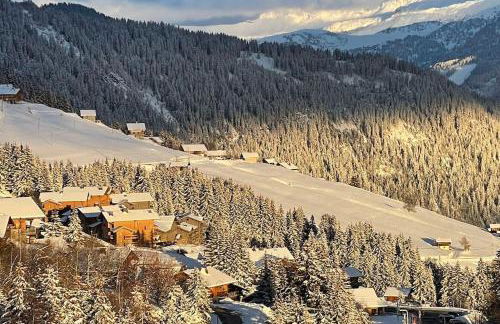 La Perle des Alpes C10 Apart.4* #Yolo Alp Home - Foto 34