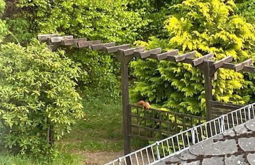 Junkerath Romantic Garden Stay - Foto 38